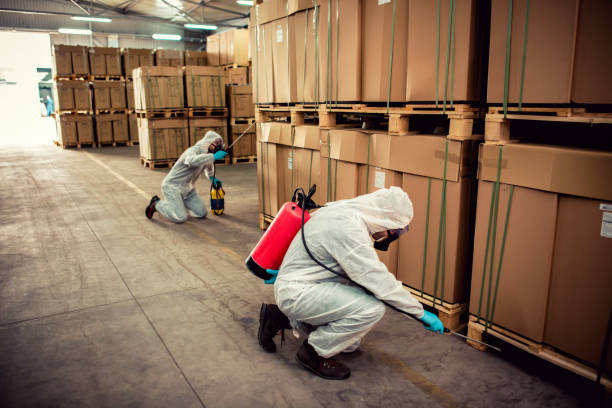Best Rat Extermination Near Me  in Desnso, CA