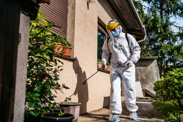 Best Pest Prevention Services  in Desnso, CA