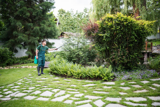 Best Ant Control Services  in Desnso, CA