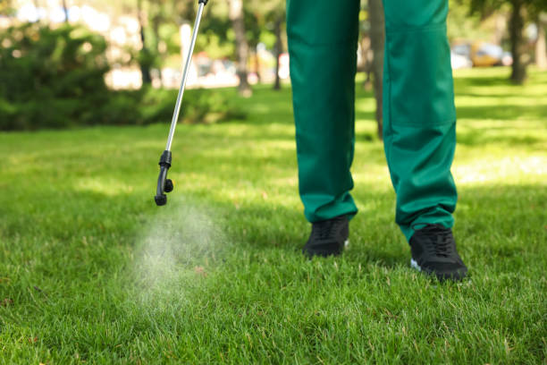 Best Best Pest Control Companies  in Desnso, CA