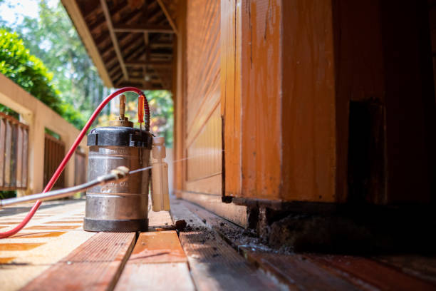Best Mosquito Control Services  in Desnso, CA