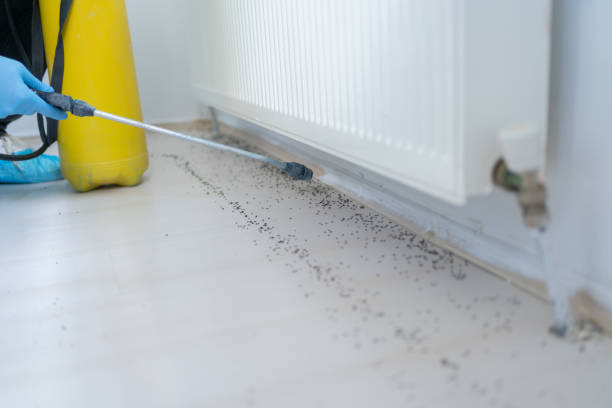 Best Commercial Pest Control Services  in Desnso, CA